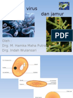 Bakteri, Virus Dan Jamur