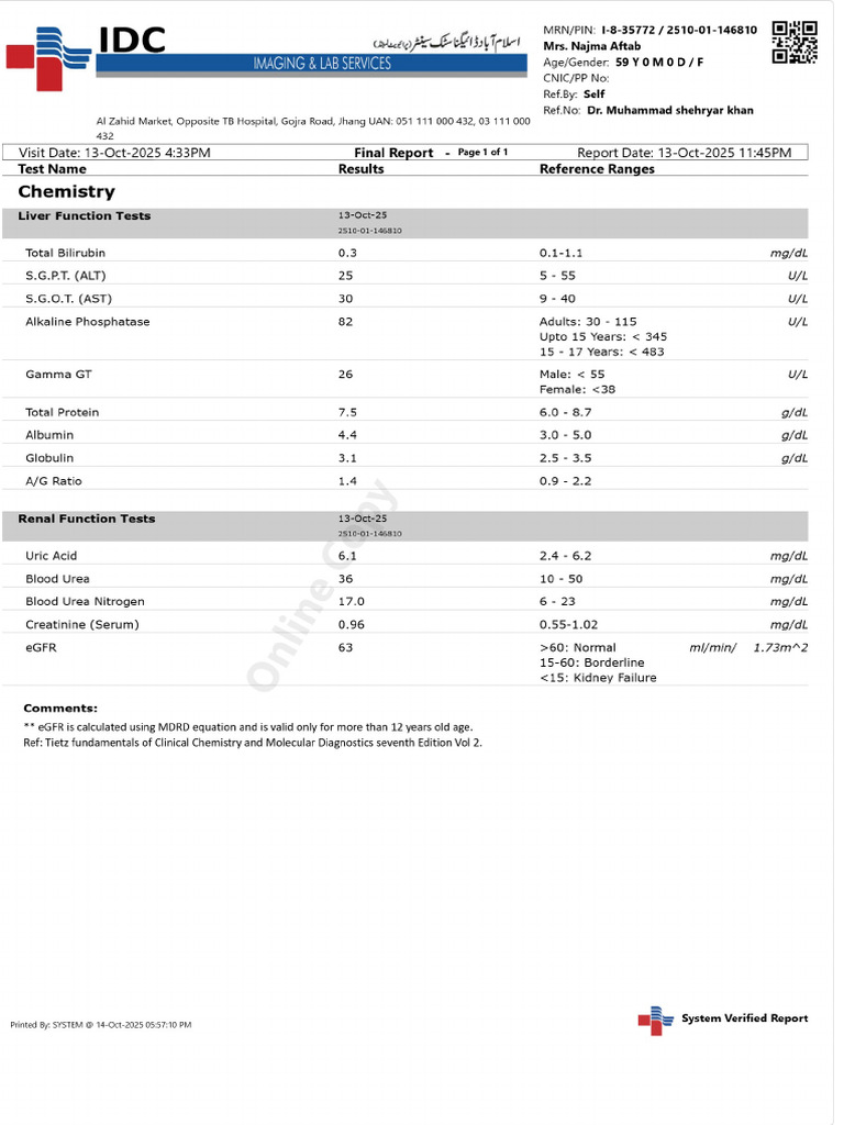 Patient Report PDF | PDF