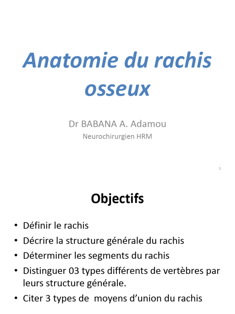 Anatomie du Rachis : Structure et Fonctions | PDF | Vertèbre | Système ...