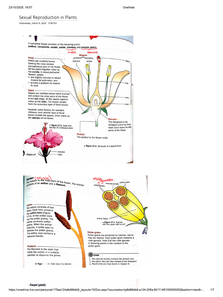 Understanding Plant Sexual Reproduction | PDF