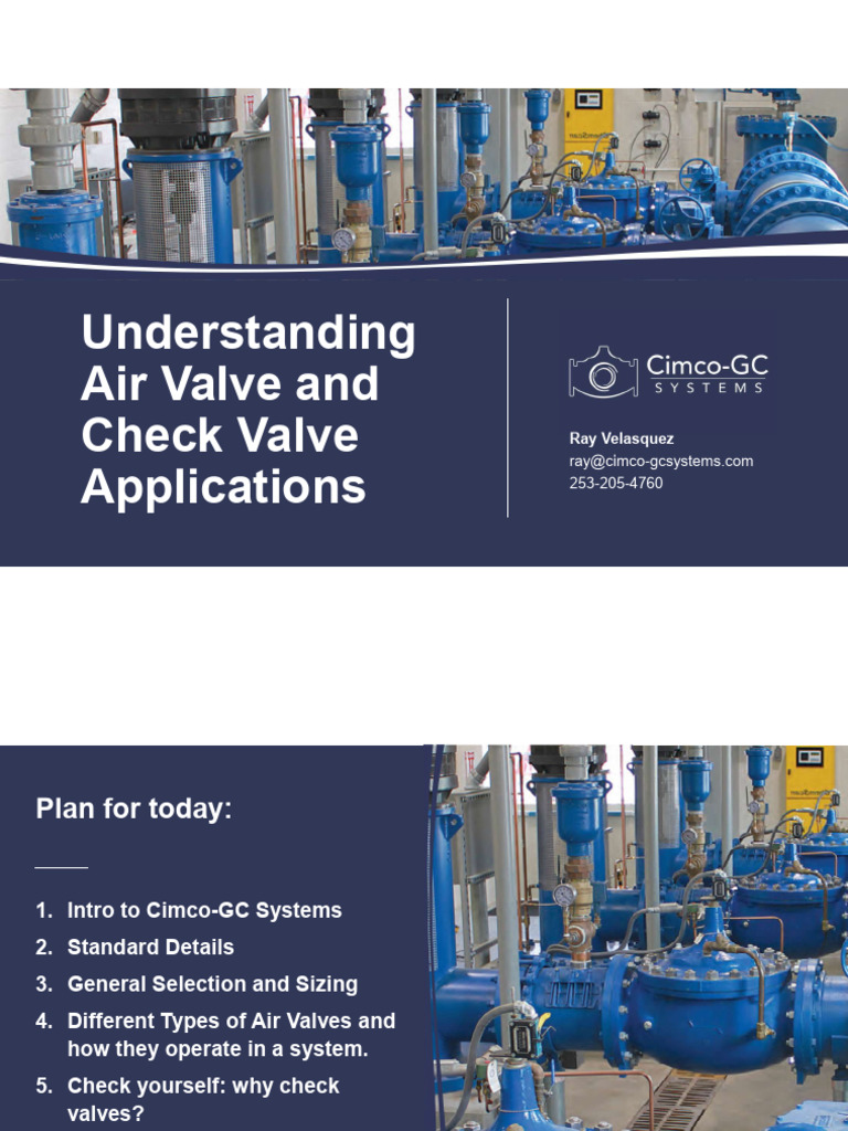Air Valve and Check Valve Overview | PDF | Valve | Pump