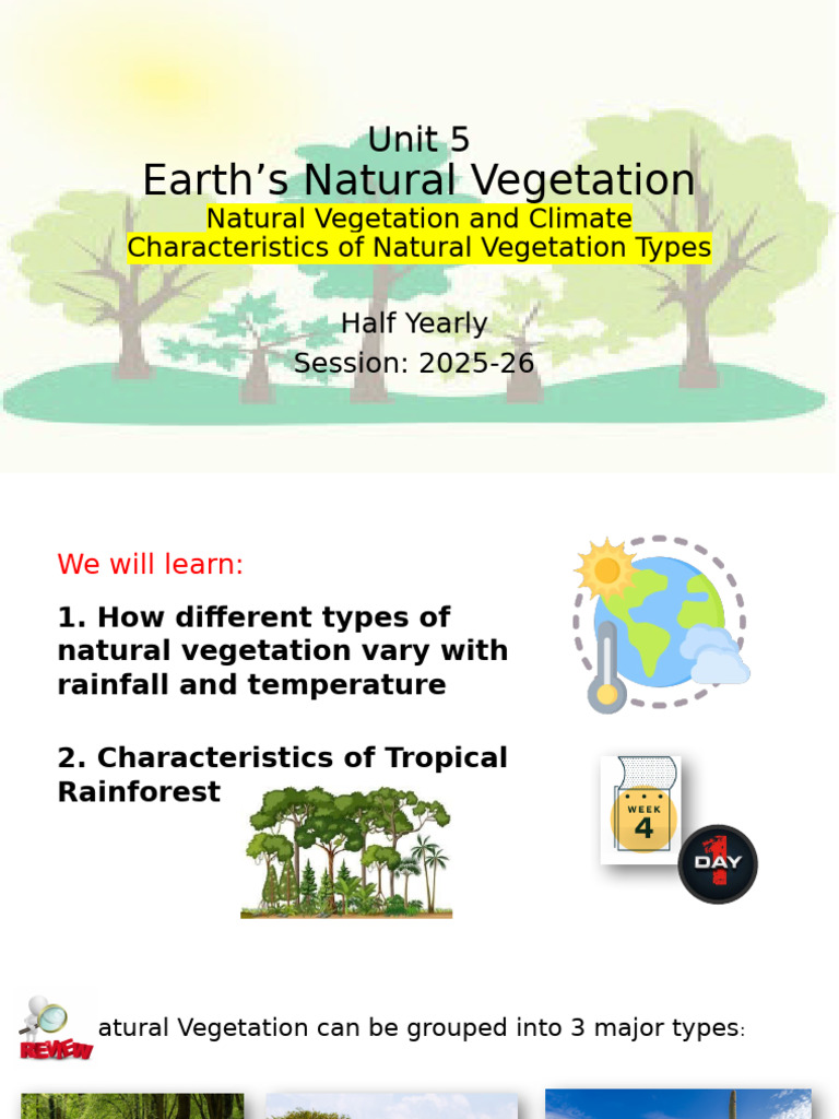 Earth's Natural Vegetation Overview | PDF | Rainforest | Forests