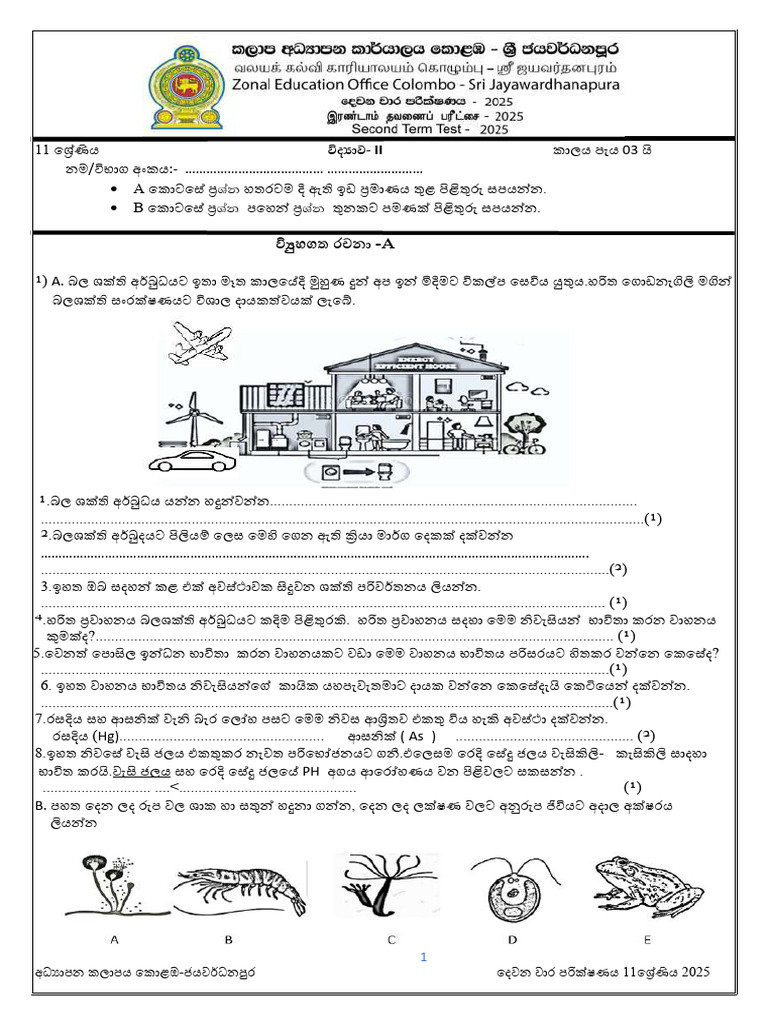 Grade 11 Science - 2025 2nd Paper (SM) | PDF