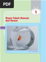 Bab 1 Organ Tubuh PDF