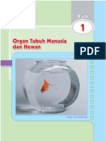 Bab 1 Organ Tubuh PDF