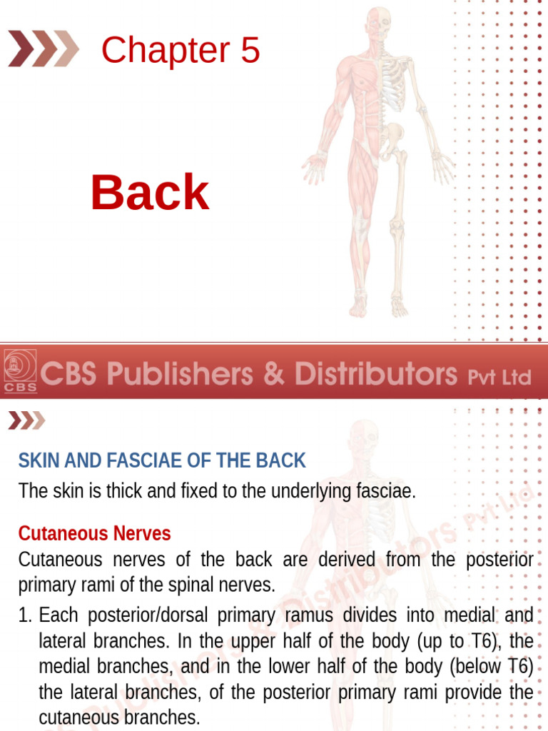 Back | PDF