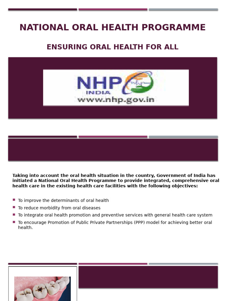 National Oral Health Programme Overview | PDF