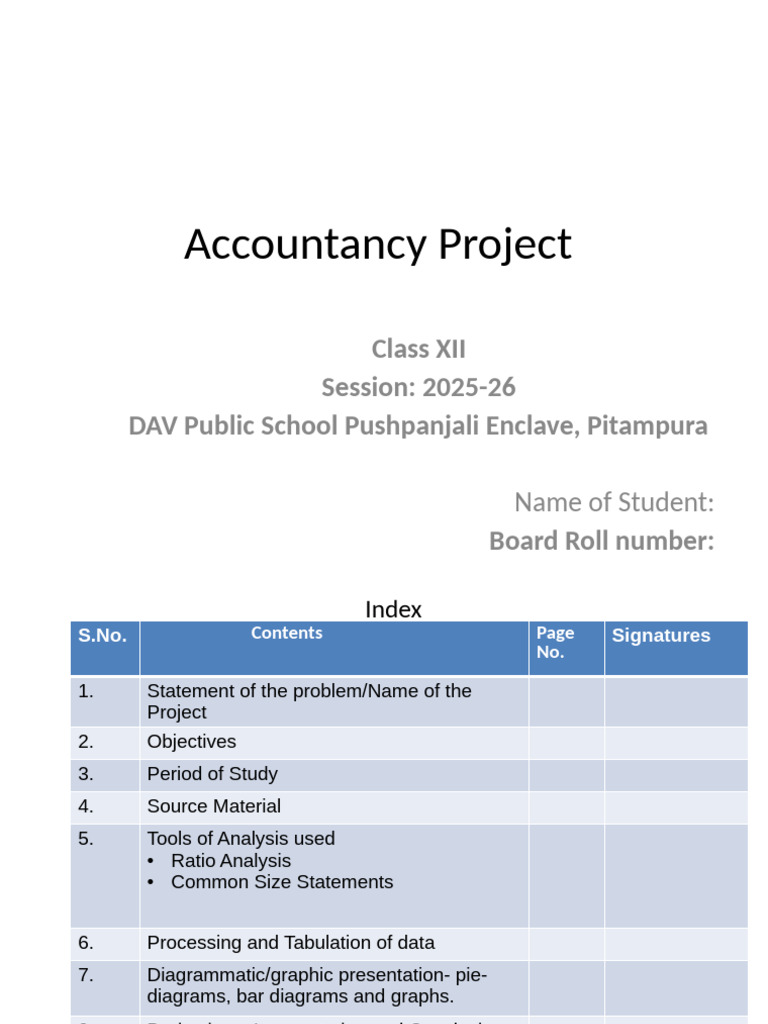 Accountancy Project 1 | PDF