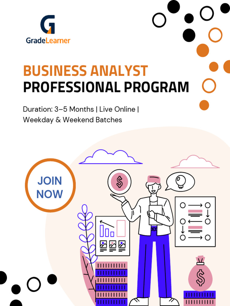 Business Analyst Program Online Course | PDF | Analytics | Information ...