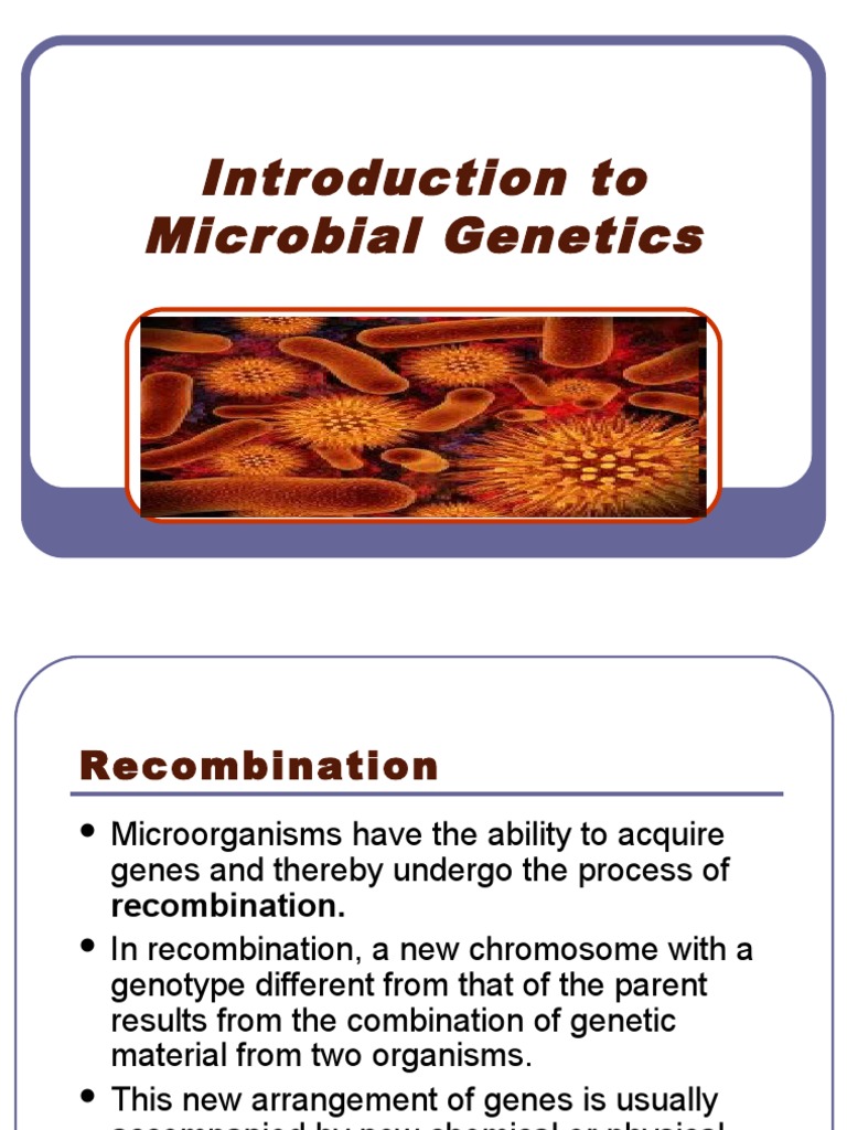 Microbial Genetics: Recombination Types | PDF | Bacteriophage | Plasmid