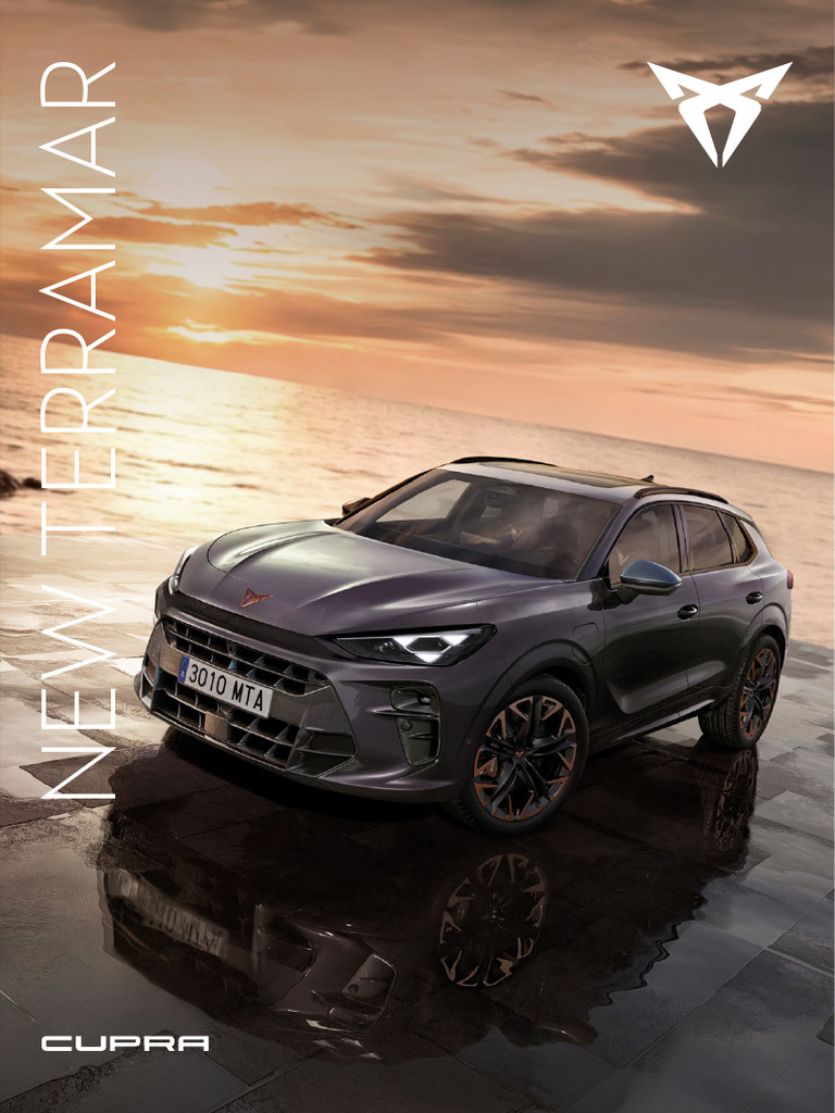 Cupra Software Update