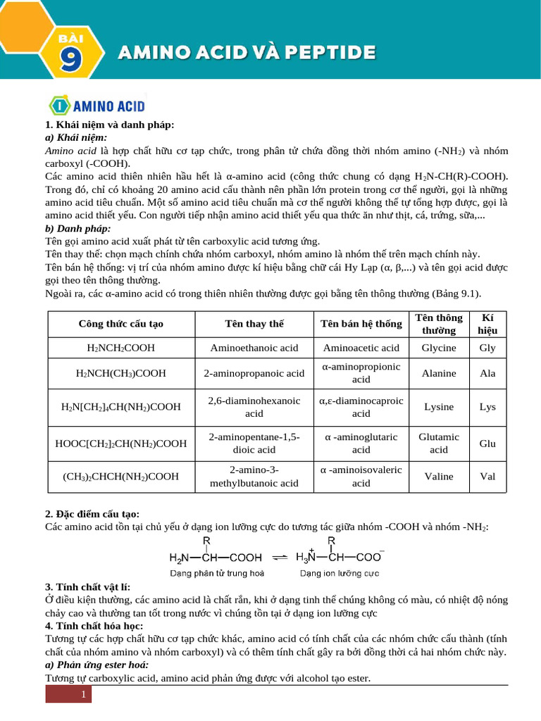 Bài 9. Amino Acid - Peptide - HS in | PDF