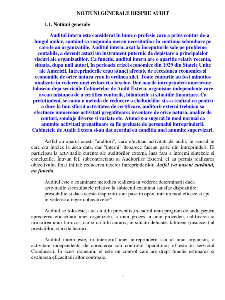 Auditul Intern | PDF