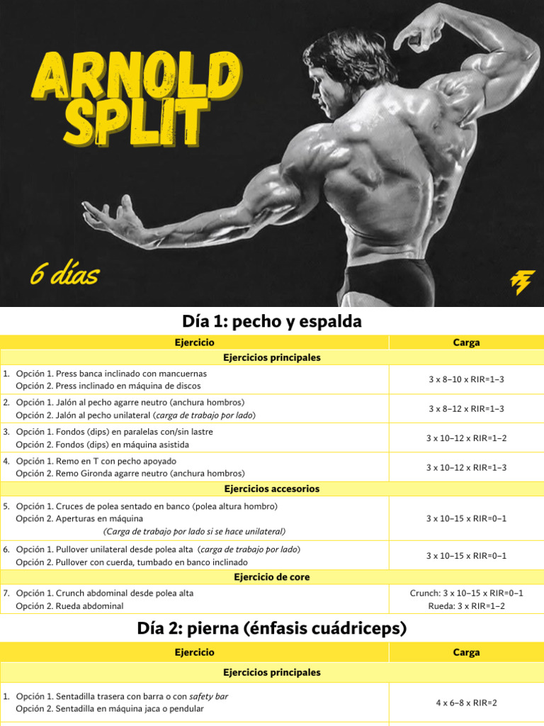 Rutina Arnold Split 6 Dias Fit Generation | PDF | Sistema ...