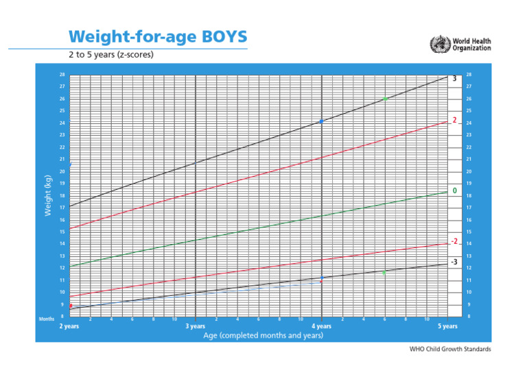 WHO Growth Standards: Boys' Weight Data | PDF