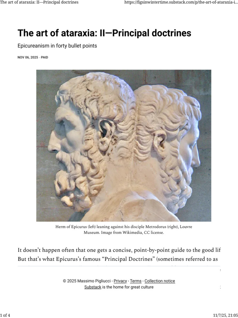 Epicurean Principal Doctrines Explained | PDF