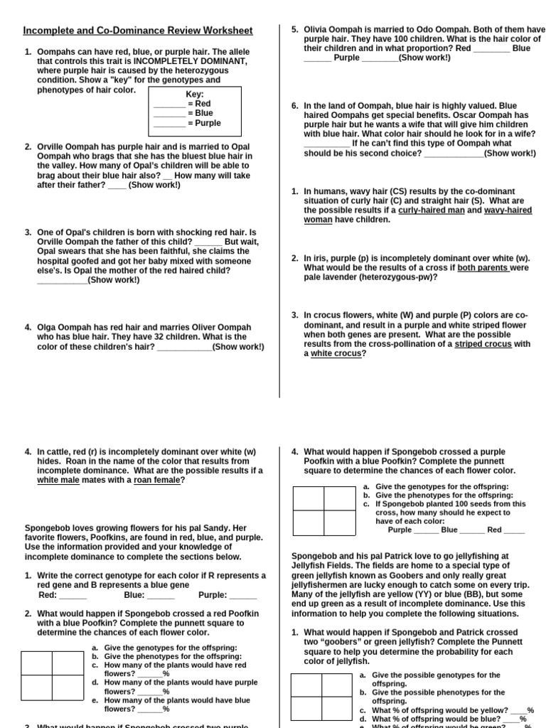 Incomplete and Codominance Review Worksheet 2012 | PDF | Dominance ...