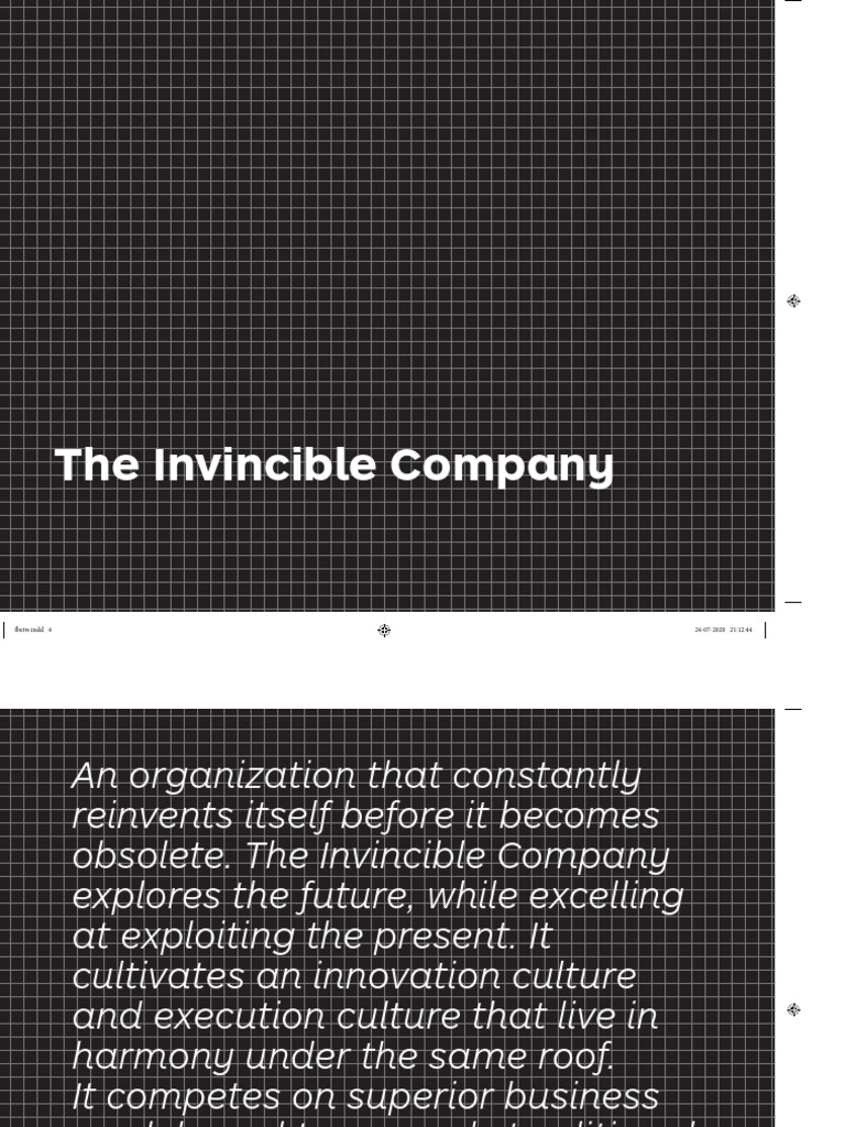 The Invincible Company Overview | PDF | Innovation | Business Model