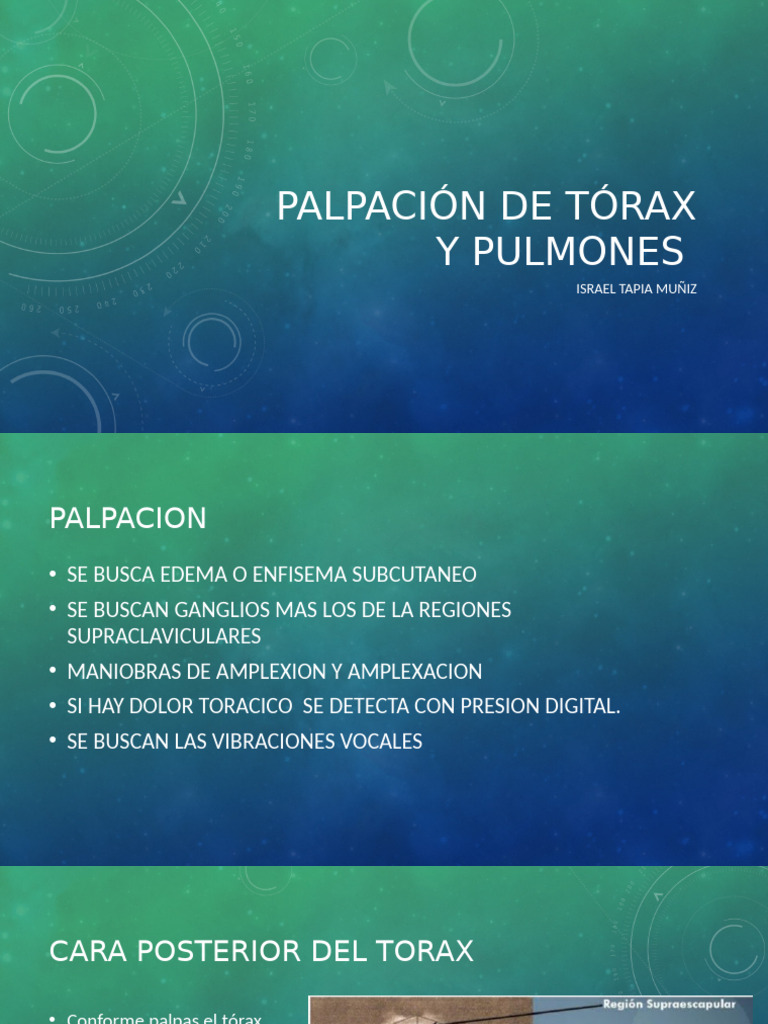 ITM 20-08-25 Palpación de Tórax y Pulmones | PDF