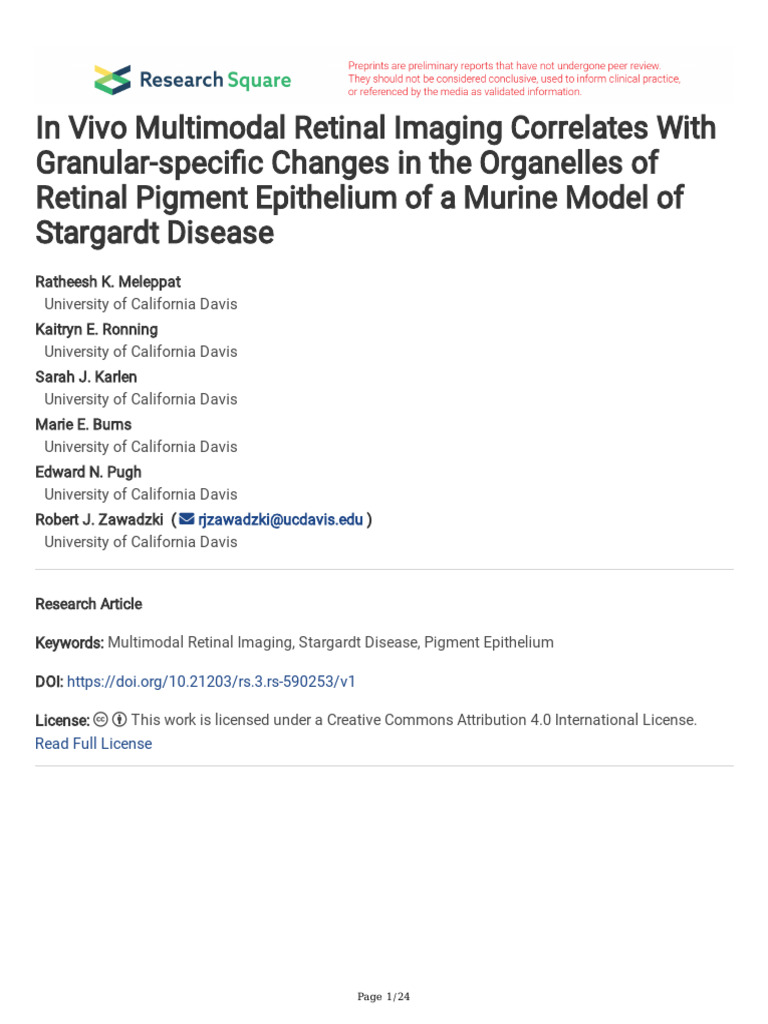 In Vivo Imaging of Stargardt Disease RPE Changes | PDF | Retina ...