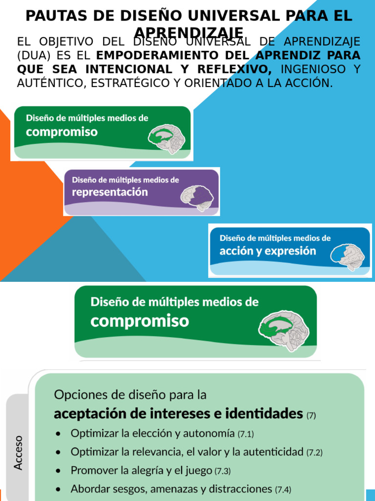 Pautas de Diseño Universal para El Aprendizaje | PDF