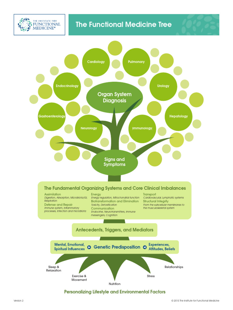 Functional Medicine Tree Overview | PDF | Medical Specialties ...
