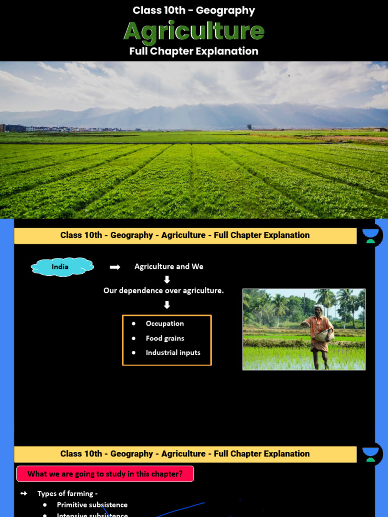 Class 10 Geography: Agriculture Overview | PDF | Agriculture | Legume