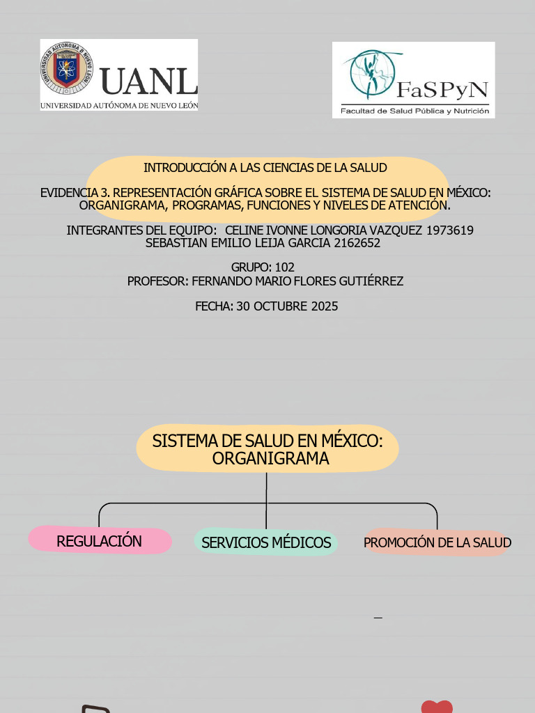 Sistema de Salud en México: Estructura y Funciones | PDF | Hospital ...