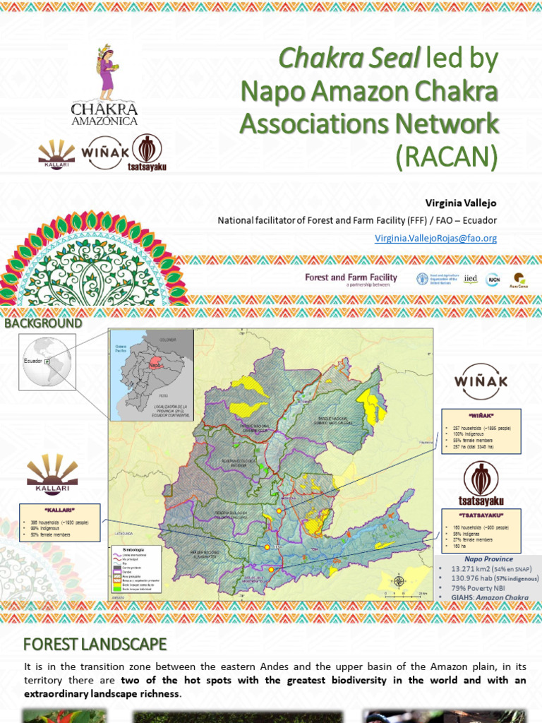 Virginia Vallejo-Chakra Label of Ecuador - FINAL | PDF | Amazon ...