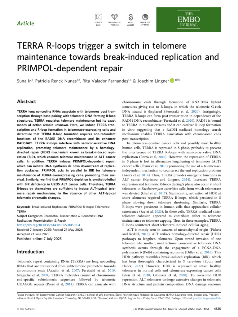 TERRA R-loops and Telomere Repair Mechanisms | PDF | Dna Replication ...