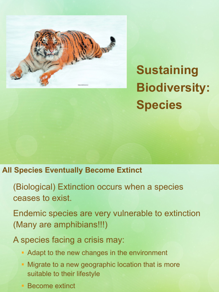 Biodiversity Crisis: Mass Extinction Threats | PDF | Extinction ...