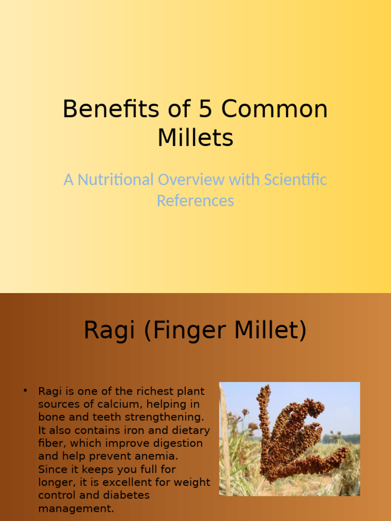Benefits of 5 Common Millets Modern | PDF