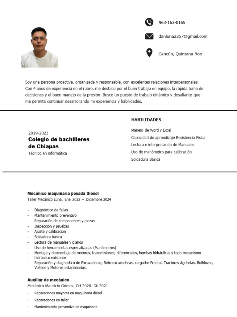 CV Daniel Luna | PDF