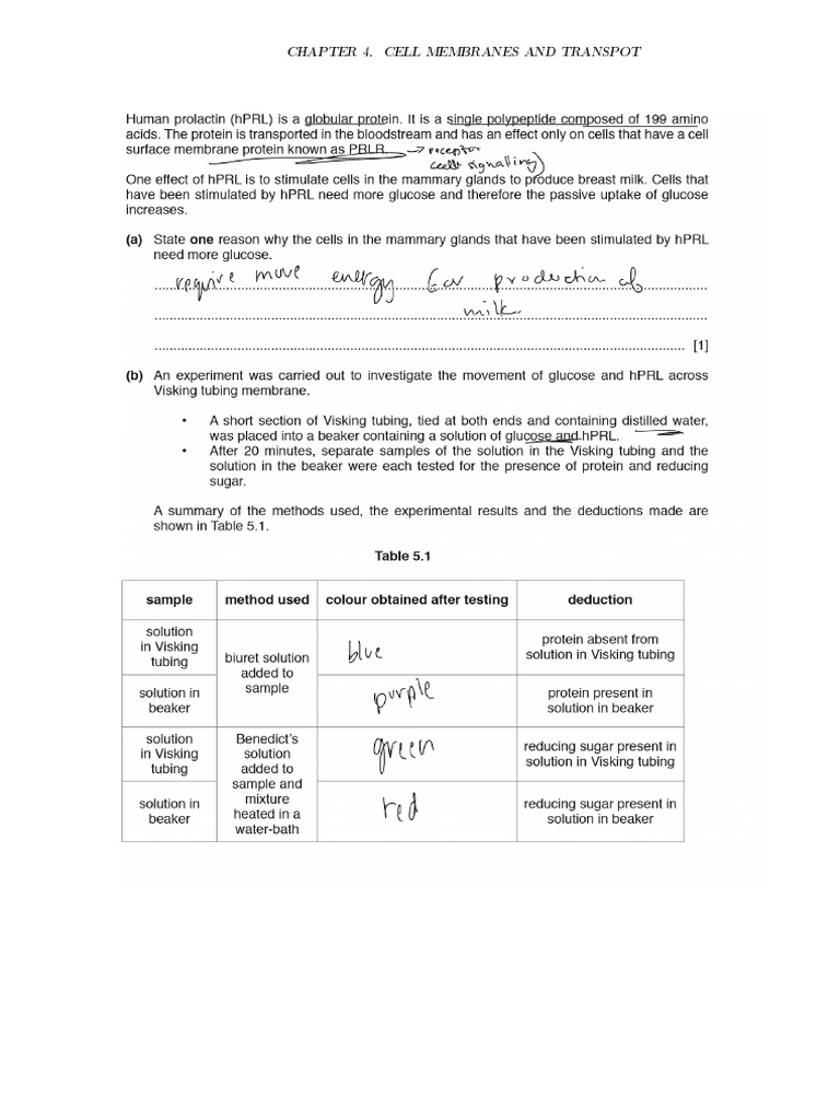 Cell Membrane and Transport - Worksheet - Paper 2 | PDF