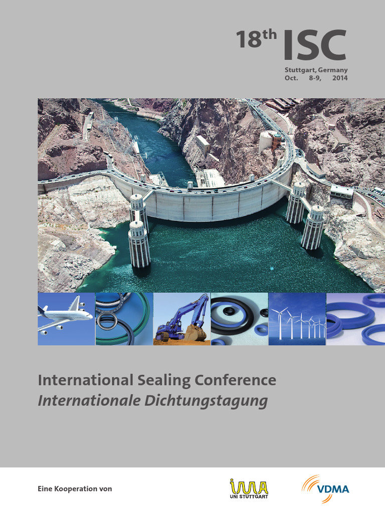 Simulation of the Fluid Flow in the Sealing Gap of Radial Lip Seals ...