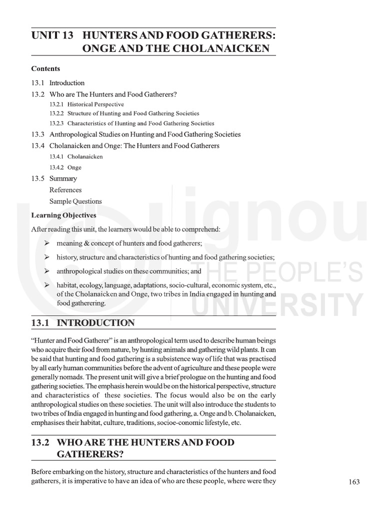 Unit 13 | PDF