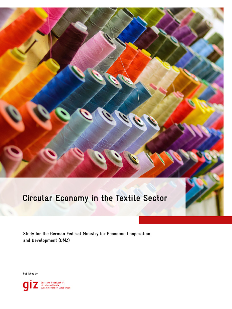 Giz Report Circular Economy Textile Sector 2019 Final | PDF | Recycling ...