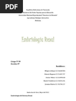Embriologia Renal