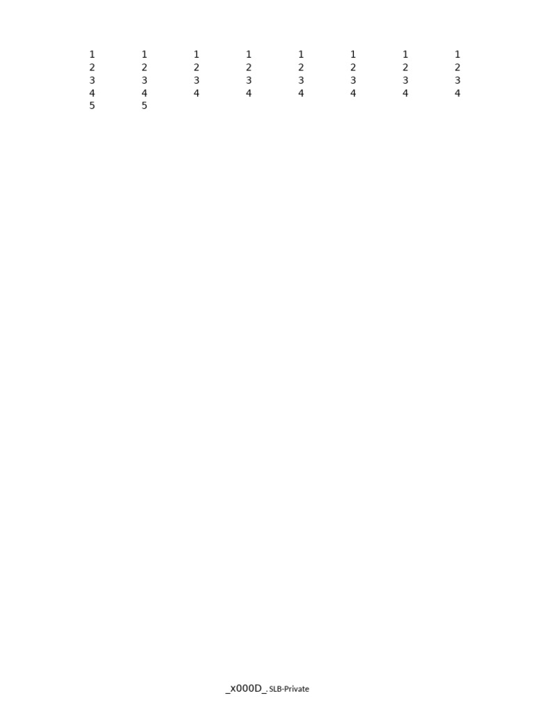 SLB Private | PDF