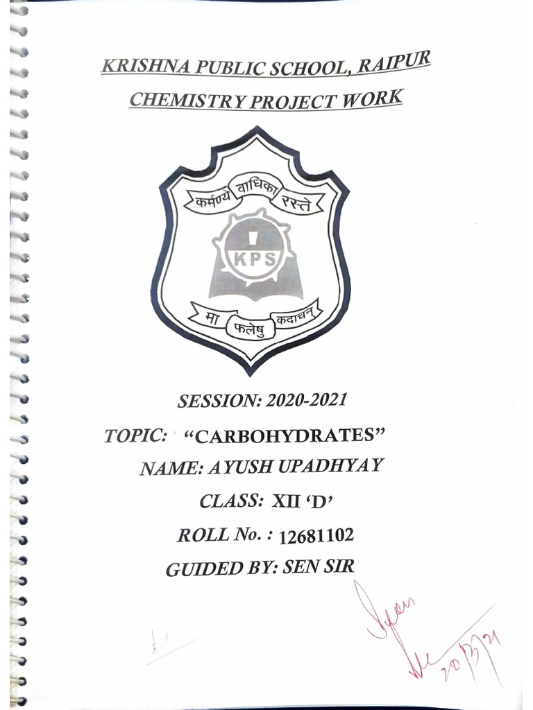 Chem Proj File | PDF