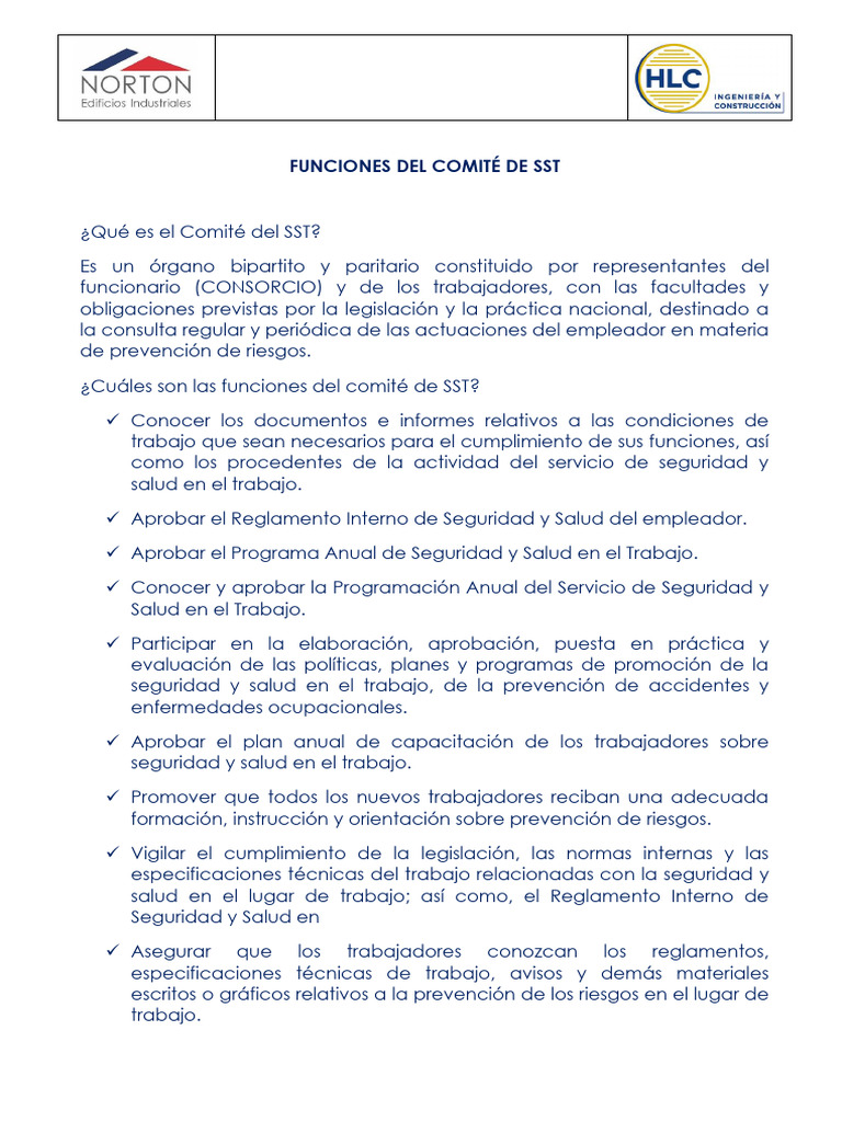 03abr - Funciones Del Comité de SST | PDF