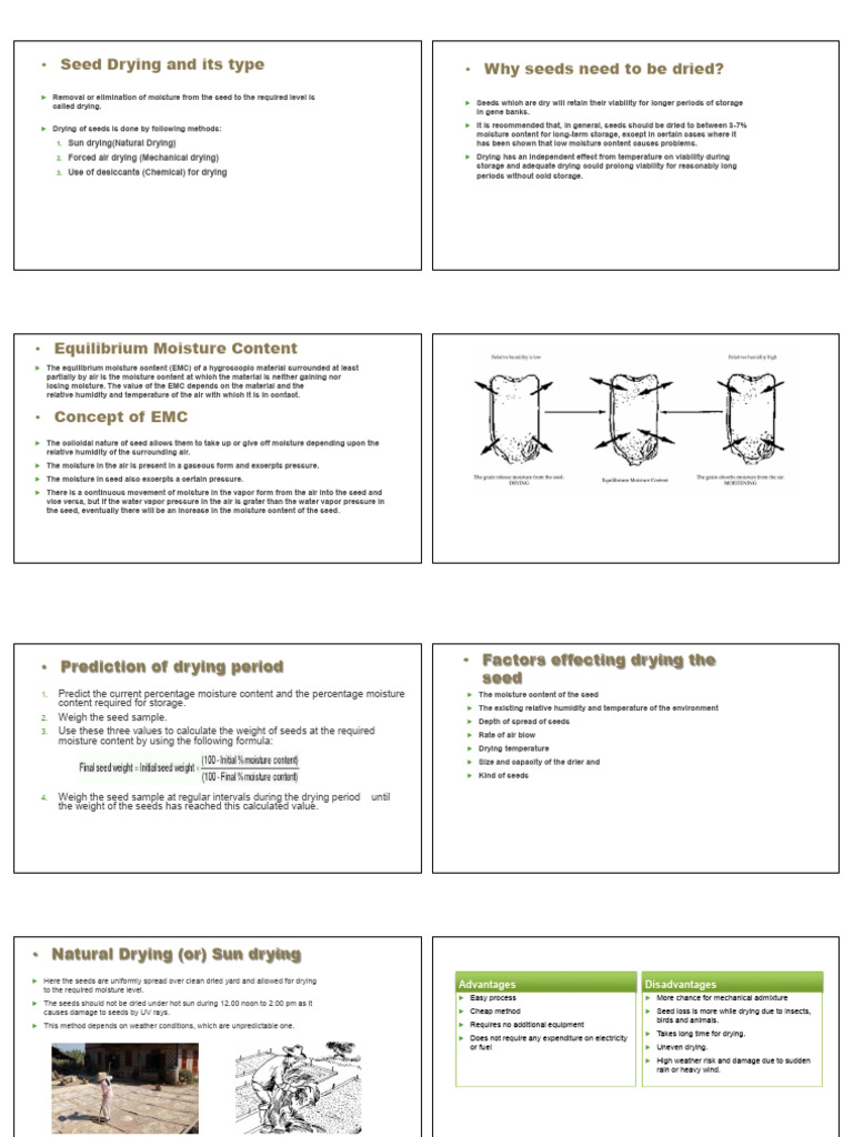 Seed Drying Methods and Importance | PDF | Seed | Humidity