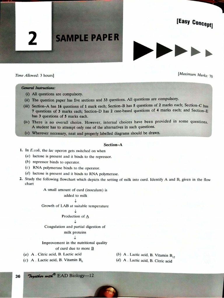 Sample Paper 2 | PDF