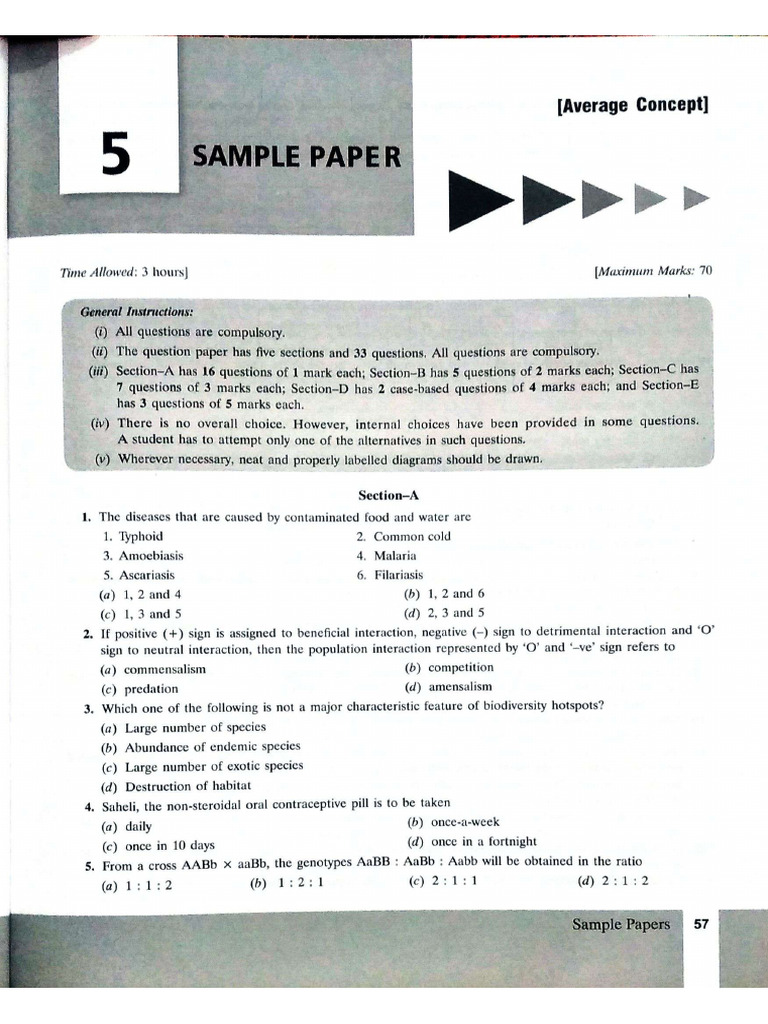 Sample Paper 5 | PDF