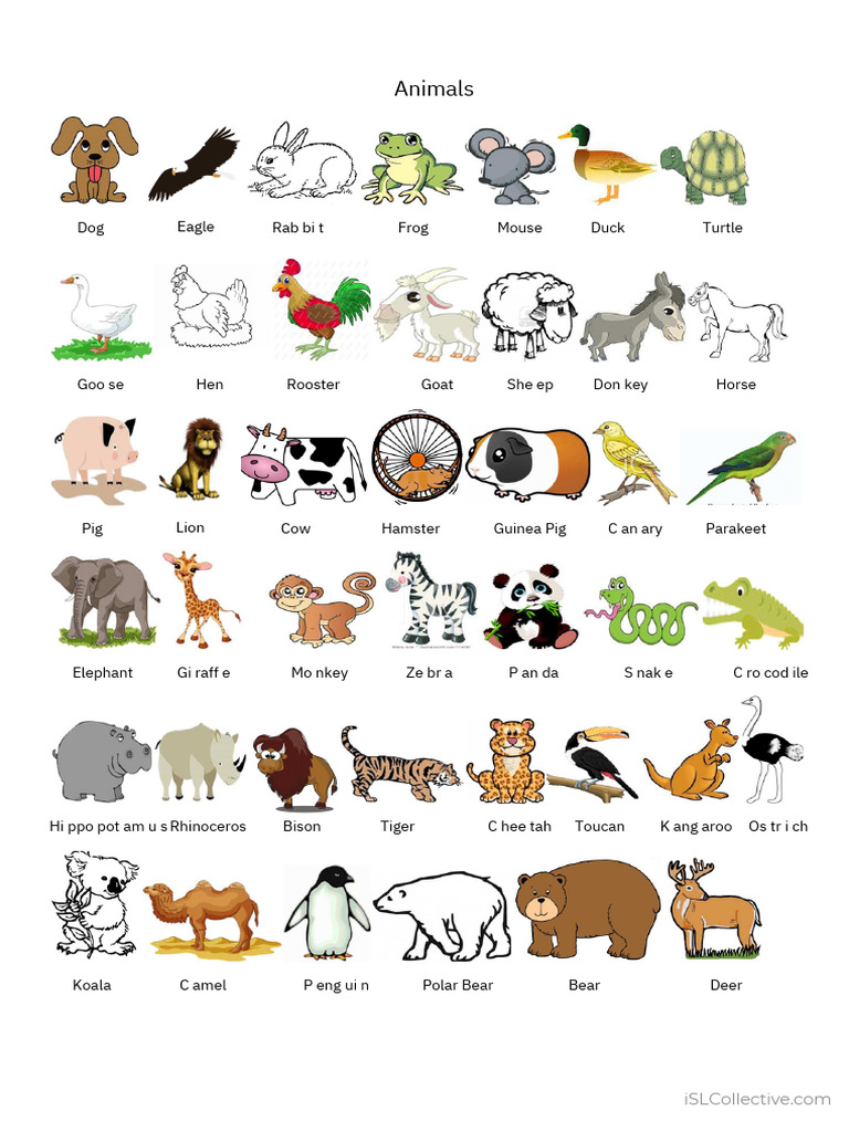 Animals Pictionary - PDF 7 | PDF