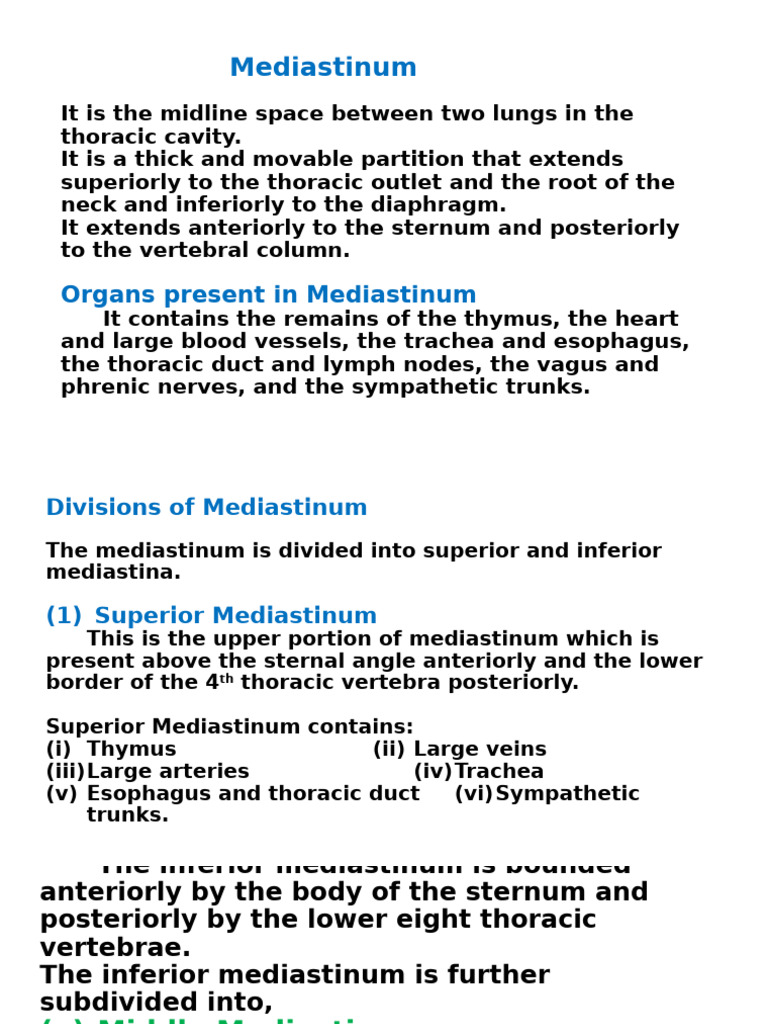 Overview of the Mediastinum Anatomy | PDF