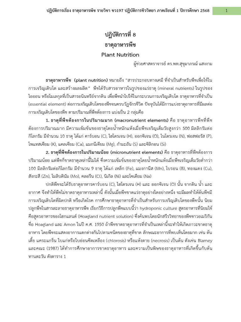 LAB - BI197 Plant Nutrition เทอม 1 2568 | PDF