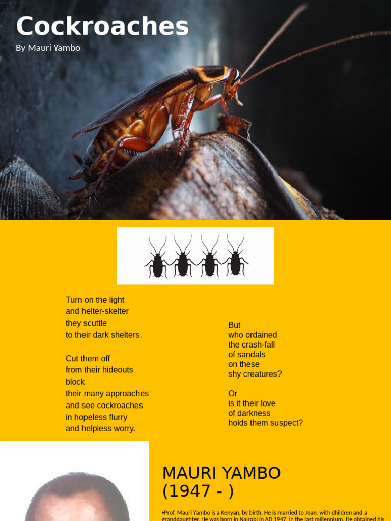 Cockroaches poemjnm annotated | PDF
