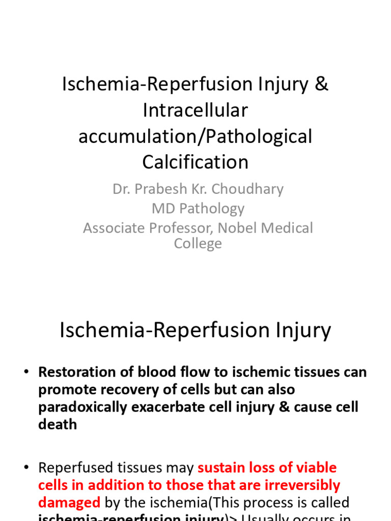 Ischemia-Reperfusion Injury & Calcification | PDF | Ischemia | Cholesterol