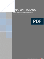 Anatomi Tulang